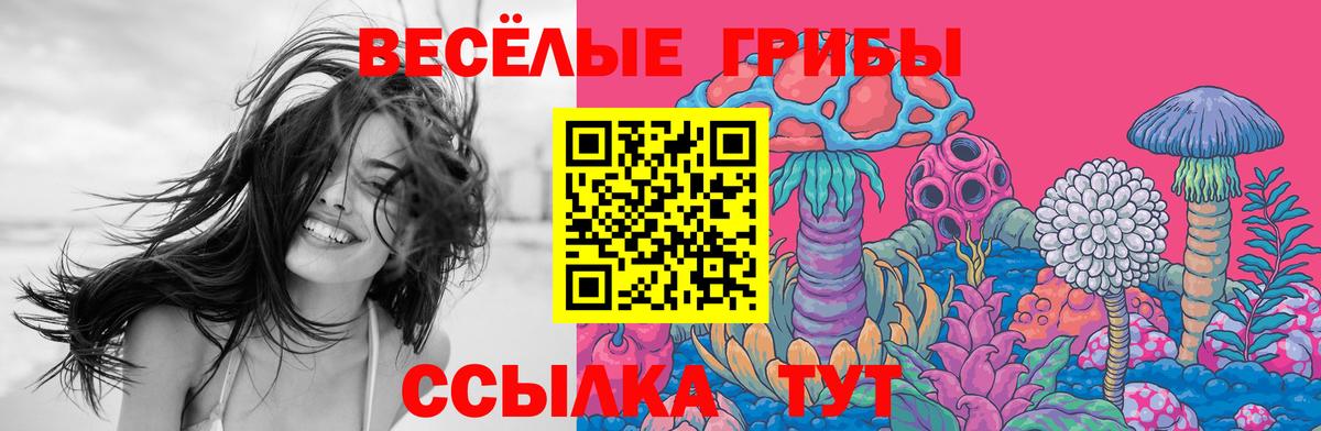 сколько стоит  Вход с VPN  Псилоцибиновые грибы GOLDEN TEACHER  Унеча  Псилоцибиновые грибы мицелий 