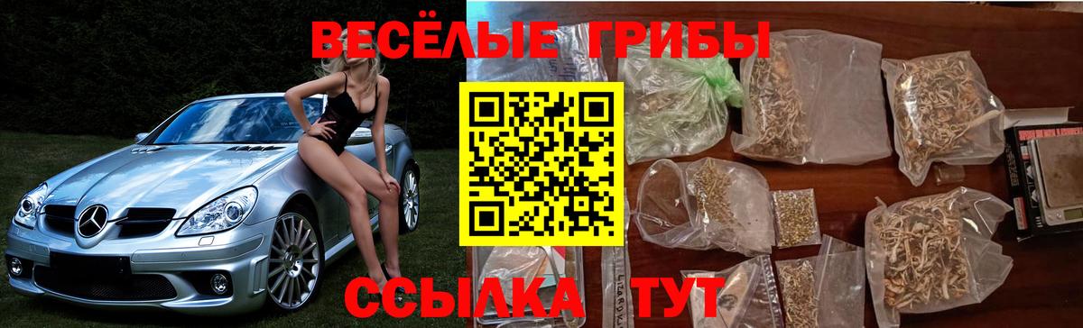 Галлюциногенные грибы мухоморы Унеча